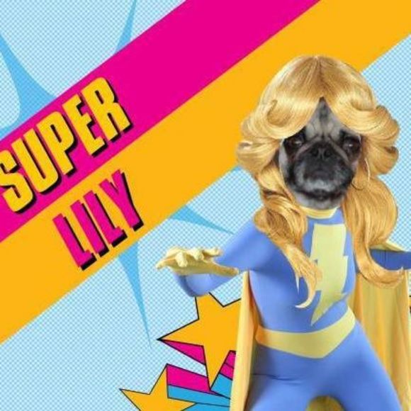 Meet your Posher, Donna - Picture 1 of 1